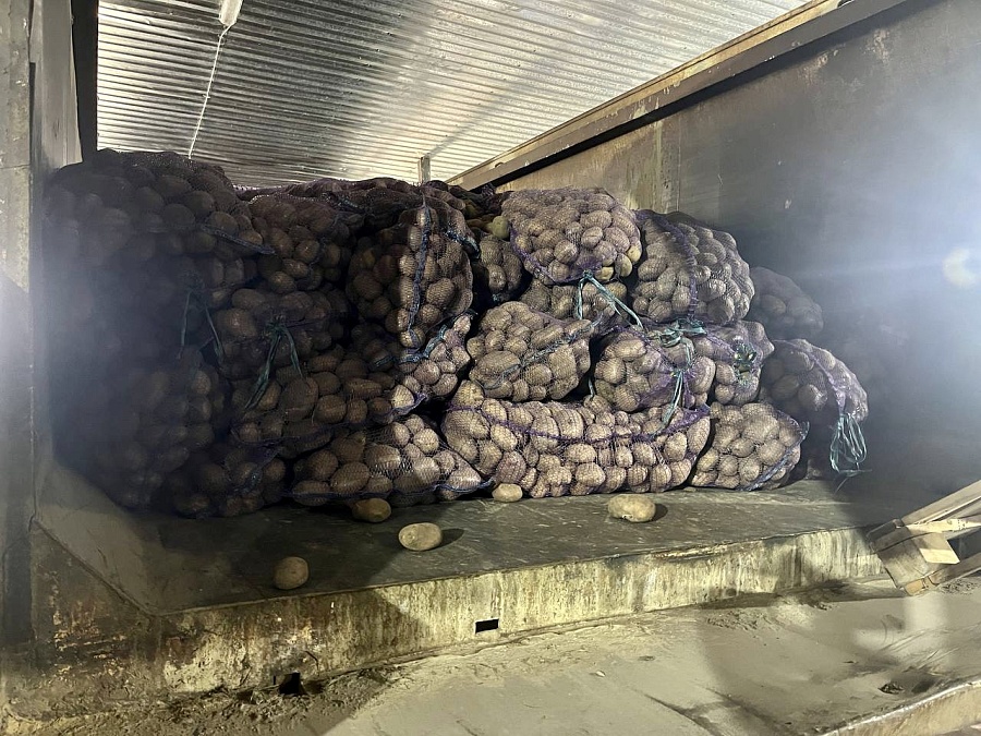 Артём Туров: Смоляне передали более 10 тонн картофеля для жителей Белгородчины